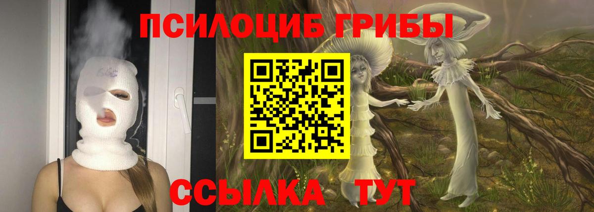 Галлюциногенные грибы Cubensis  Вход с VPN  Псилоцибиновые грибы Psilocybe  закладки  Новочебоксарск 